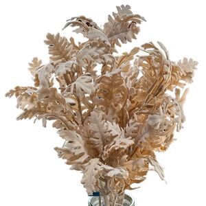 ❤️ 3/$15 Bundle Sale — Firm. Bundle 3 ❤️ Items $7–$9 only & Save! No limit.